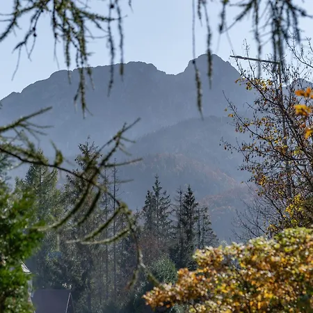 Why Not Rubinowy Kościelisko